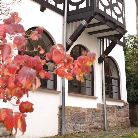 사르브루켄 Historisches Haus Am Triller 빌라 외부 사진