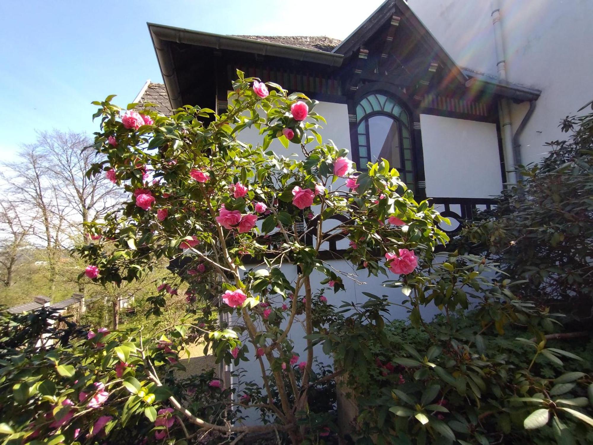 사르브루켄 Historisches Haus Am Triller 빌라 외부 사진